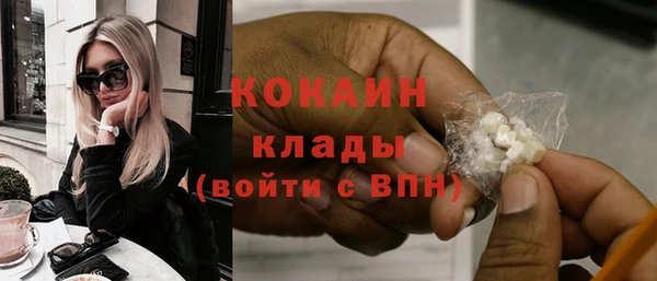 mix Богородицк