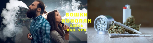 mix Богородицк