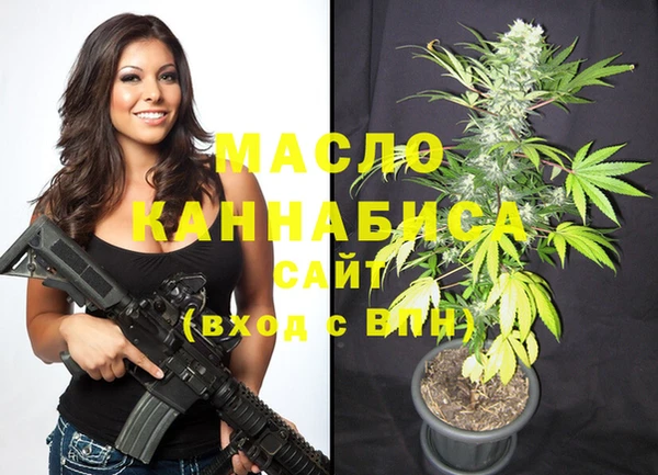 mix Богородицк