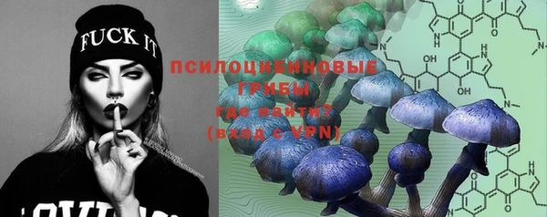 мяу мяу мука Богданович