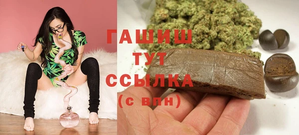 mix Богородицк