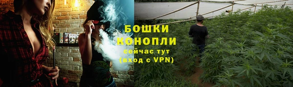 mix Богородицк